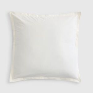 NWT QUINCE Organic Brushed Cotton Euro Sham Ivory 6083